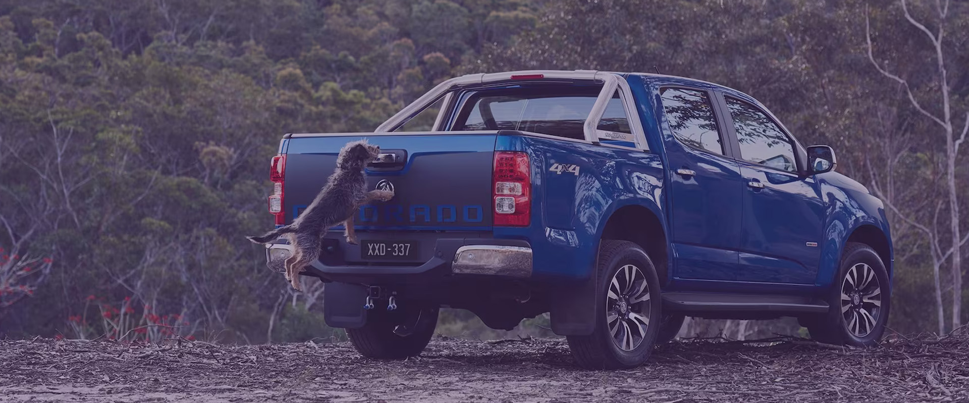 to Patrick Auto Group Sales, Service & Parts Port Macquarie